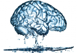 big blue brain
